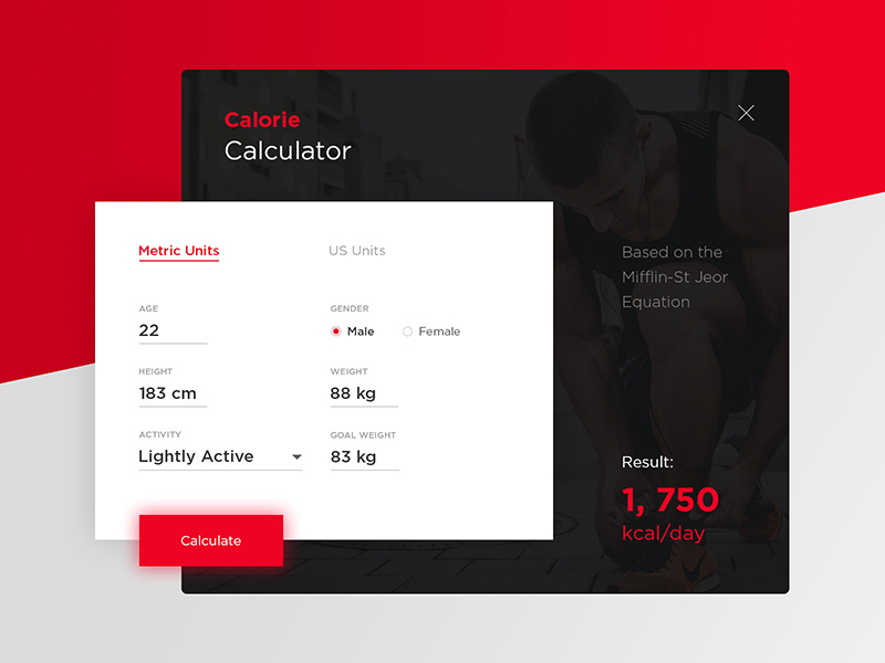 Macro Calculator
